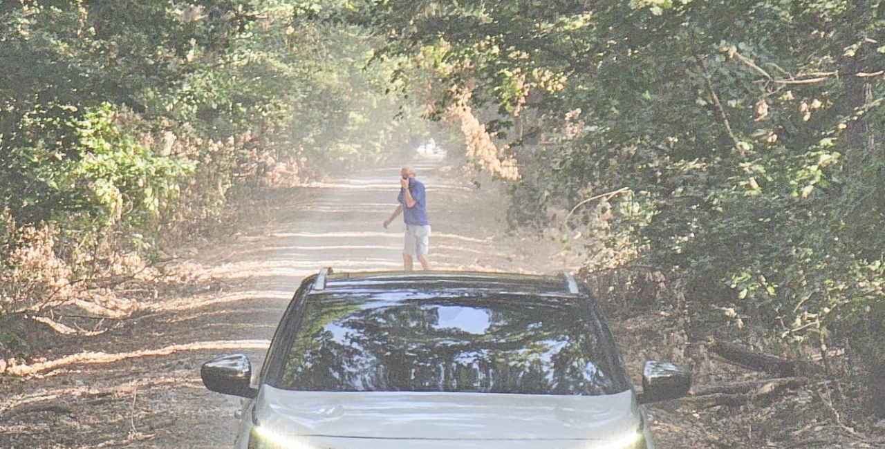 Drumul ilegal din Pădurea Băneasa ajunge la Parchet